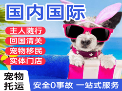 朝阳川机场邮寄国际宠物托运 【国